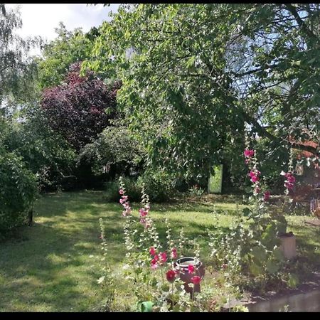 Geraeumiges 120M² Haus Mit Garten + Stellplatz Stralsund Buitenkant foto