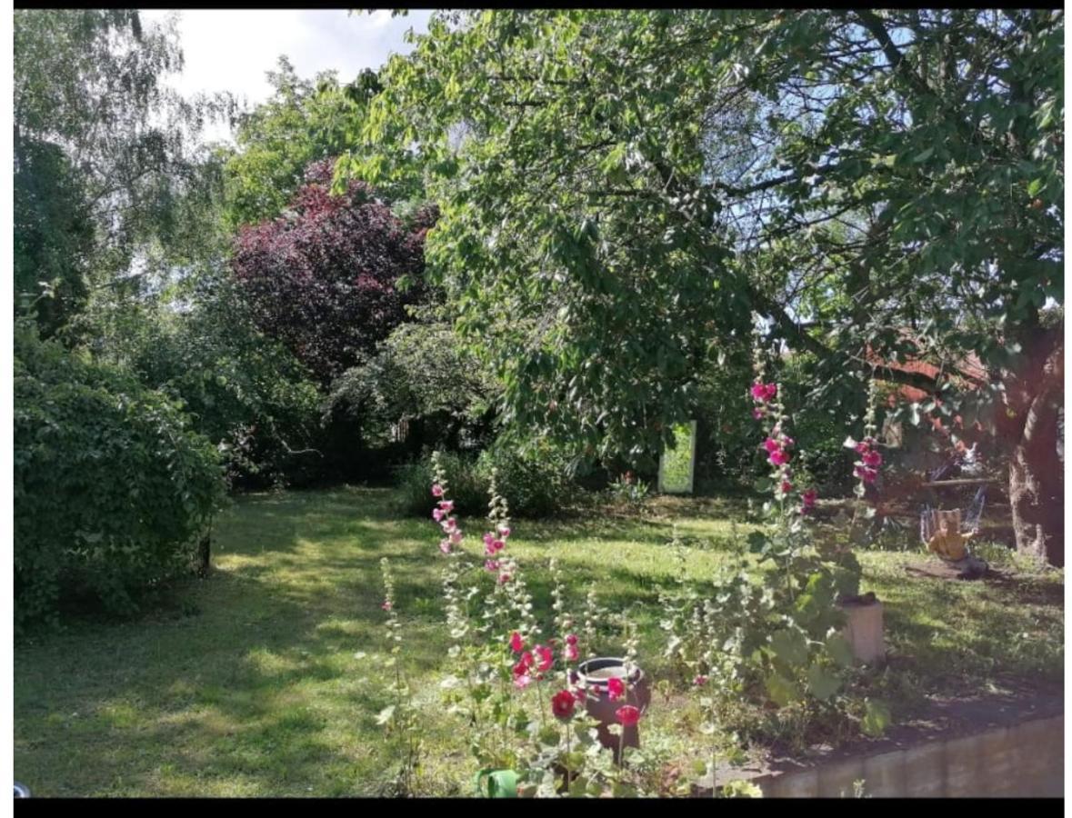 Geraeumiges 120M² Haus Mit Garten + Stellplatz Stralsund Buitenkant foto